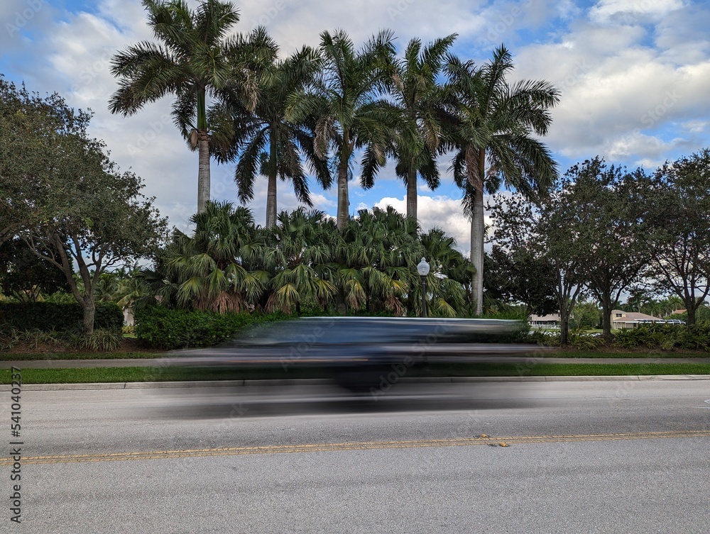 Fototapeta premium Florida Nature