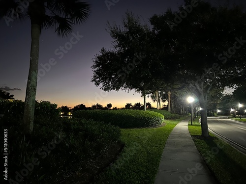 Florida Nature
