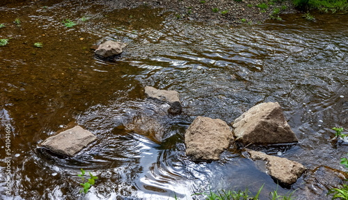 Stones close-up in the shallow water of the river in summer