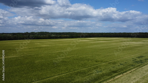 large grass field