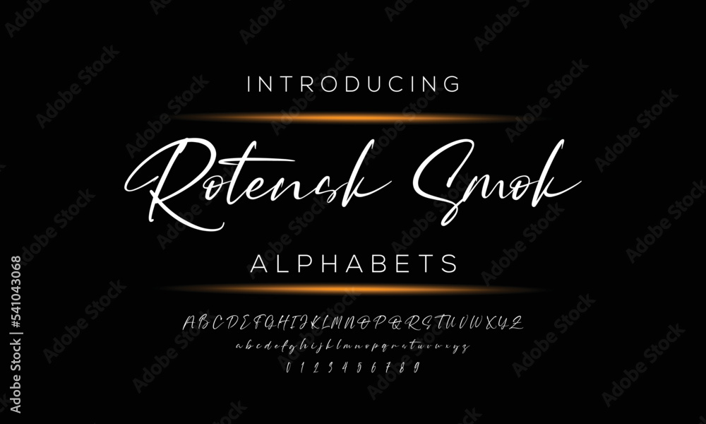 Sign Script Fonts Signature Font Calligraphy Logotype Script Font Type Font lettering ...