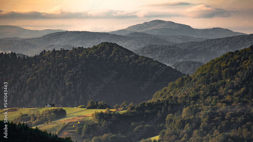 Krajobraz bieszczadzkich wzgórz pokrytych lasem z połoninami w tle, Bieszczady, Polska