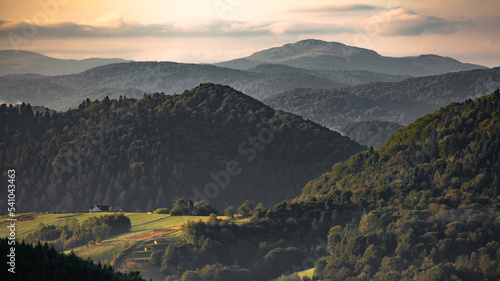 Krajobraz bieszczadzkich wzgórz pokrytych lasem z połoninami w tle, Bieszczady, Polska