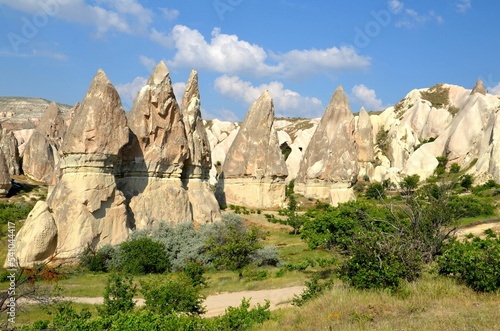 panorama of typical cappadocian landscape with rocks and plants