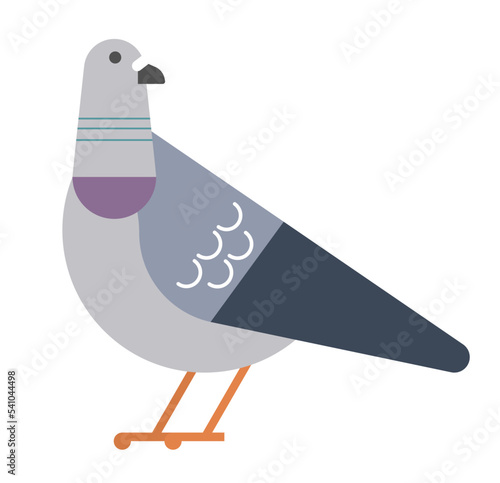 Pidgeon icon