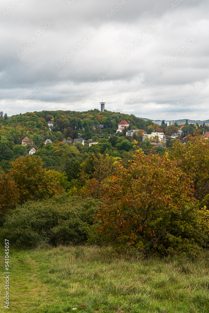 Barenstein hill with lookout tower in Plauen city in Germany