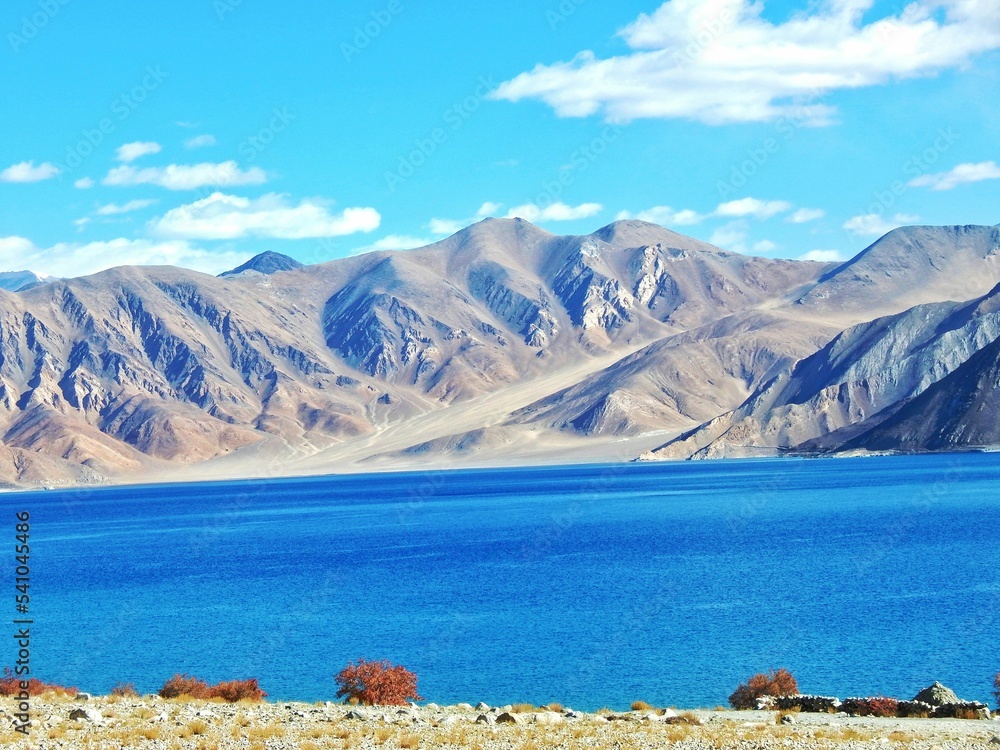 Obraz premium Serene Pangong Lake, Ladhak, India