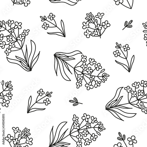 Seamless pattern with canola flowers.