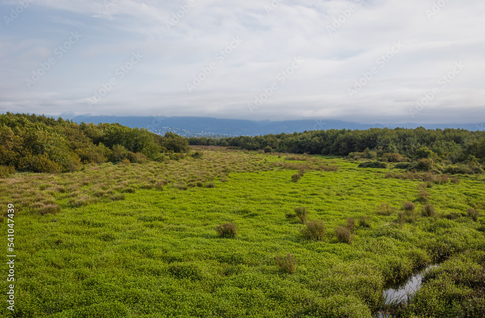 Kobuleti Managed Reserve, Kobuleti Protected Areas, National Park in Georgia. Kobuleti Managed Reserve, Kobuleti Protected Areas, National Park in Georgia.