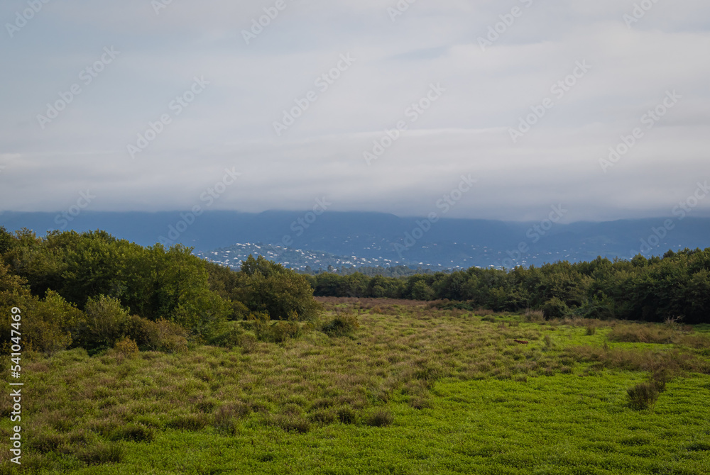 Kobuleti Managed Reserve, Kobuleti Protected Areas, National Park in Georgia. Kobuleti Managed Reserve, Kobuleti Protected Areas, National Park in Georgia.