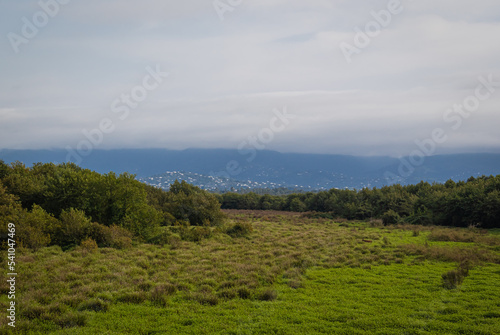 Kobuleti Managed Reserve, Kobuleti Protected Areas, National Park in Georgia.