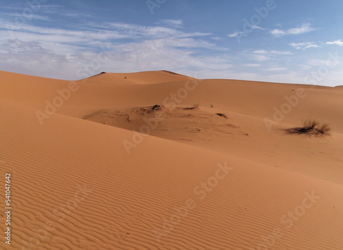 Peaceful view of beautiful Sand dunes of the Sahara desert, Morocco