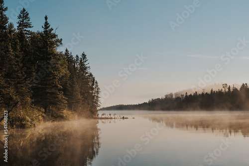 Foggy morning lake