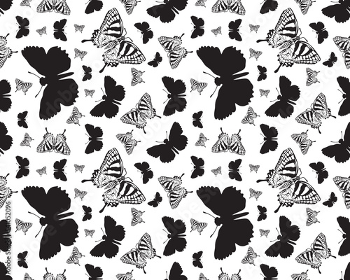 Seamless pattern with black silhouettes of butterflies on on a white background