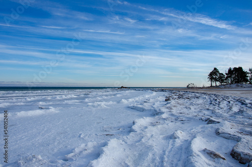 landscape with seashore in winter