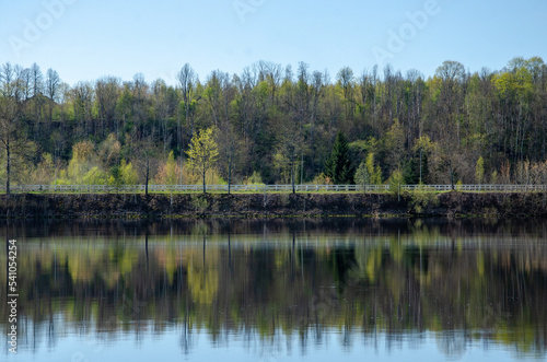 reflection of trees in the water