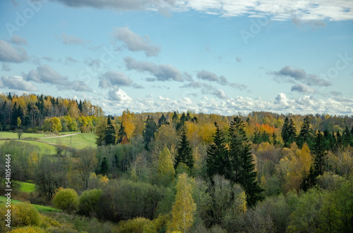 landscape with autumn forest and cloudy skies