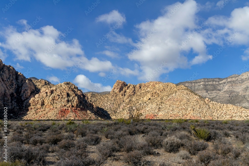 red rock Canyon