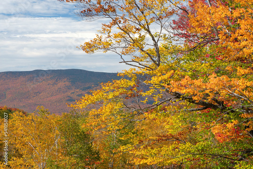 Beauty of autumn in White Mountains of New Hampshire. Tree branches with colorful fall foliage and view of distant mountain.