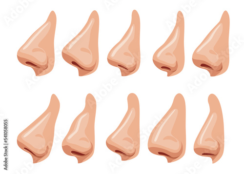 Nose human face part nosey breathing smell. Set of anatomy man breathe nosed organ roman-nose snub-nosed and pug-nosed. Flat vector illustration.