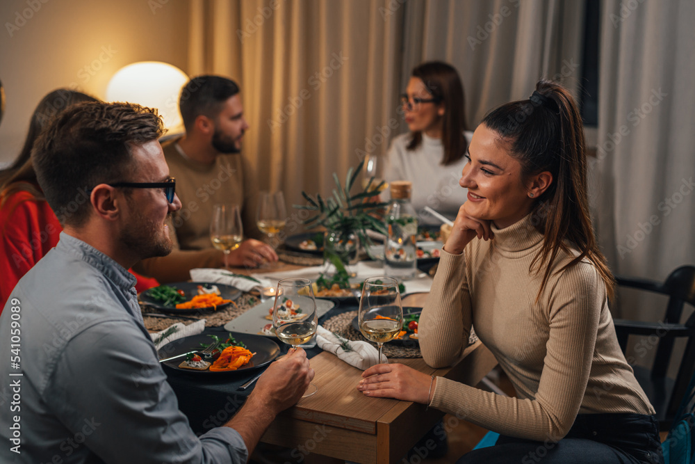 friends talking at the home dinner party friends talking at the home dinner party