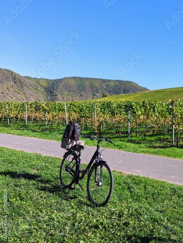 Bicycle with basquet and backpack in front of vineyard