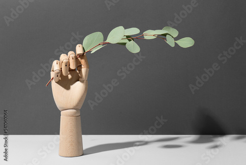 Wooden hand with eucalyptus...