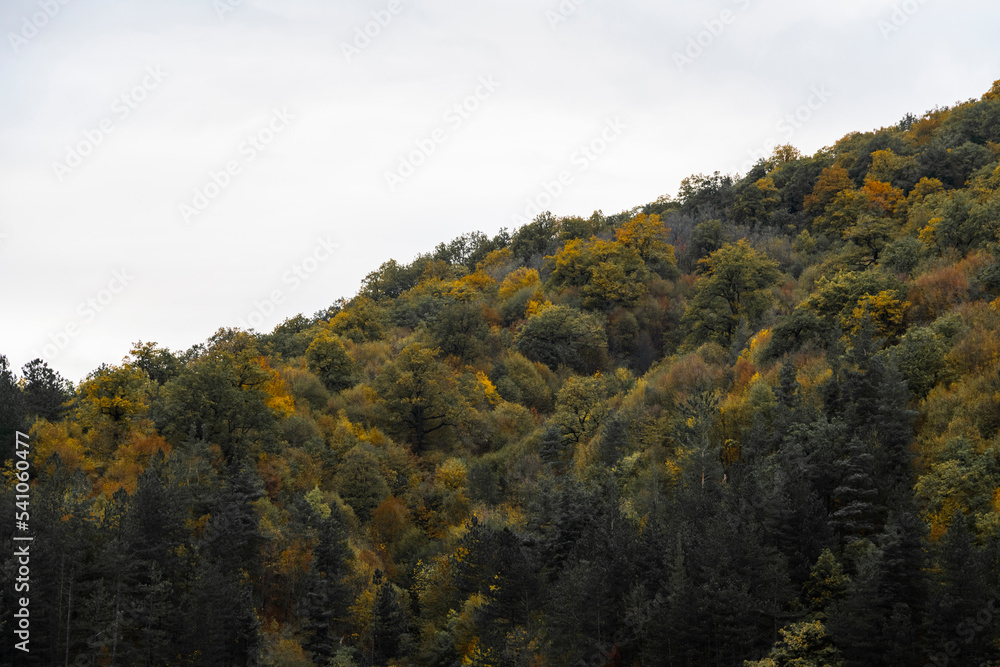 Autumn landscape fog in the forest and mountains. Autumn landscape fog in the forest and mountains.