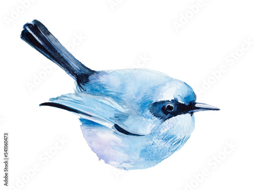 Cute bird illustration isolated on a white background. Bird minimalist design.Nnature concept clipart. Wild nature themed artwork for card, invitation,print,poster. photo