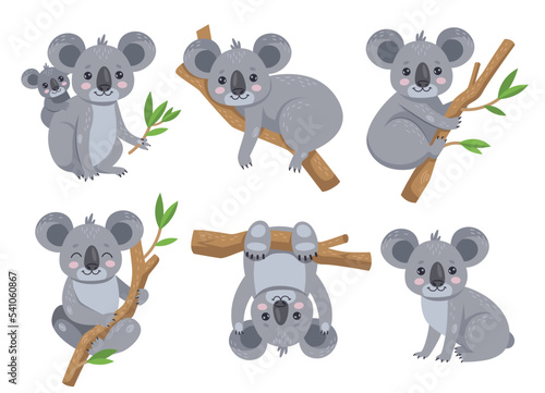 Cute koala sitting on eucalyptus tree cartoon illustration set. Adorable Australian bear with baby, lying and hanging on tree, holding leaf branch. Wildlife animal concept