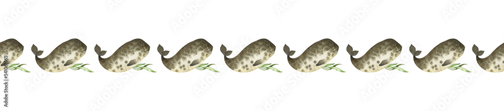 Fototapeta premium Watercolor seamless border with baby narwhals and seaweeds. Pretty underwater repeatable frame with cute characters for creative design