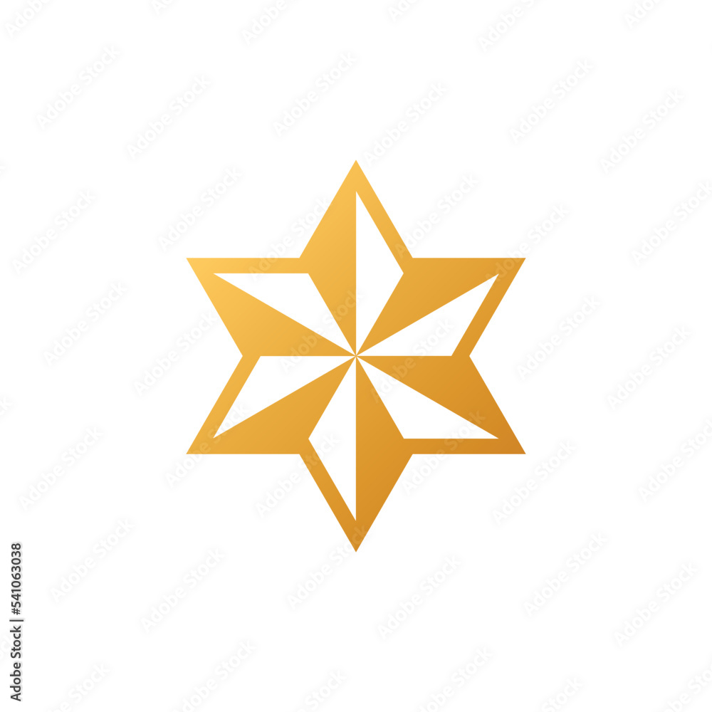 Obraz premium Decorative Star Icon Vector Logo Template