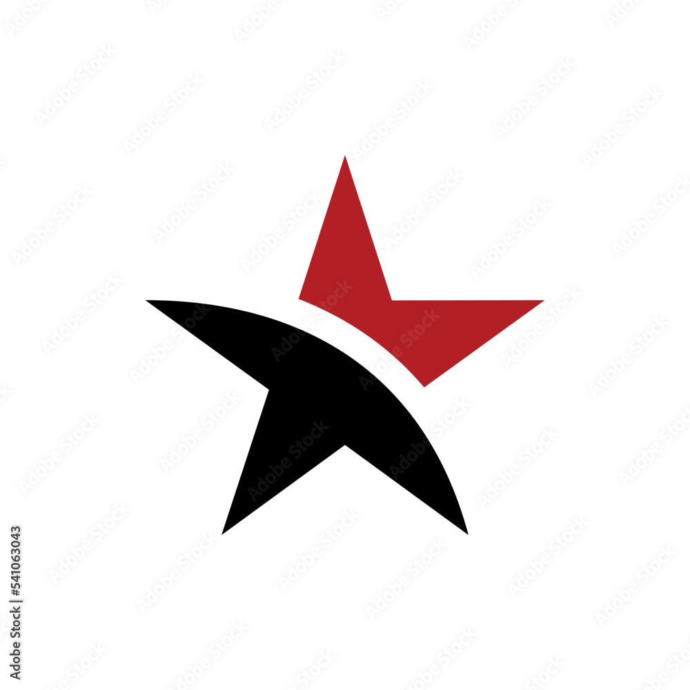 Decorative Star Icon Vector Logo Template Decorative Star Icon Vector Logo Template
