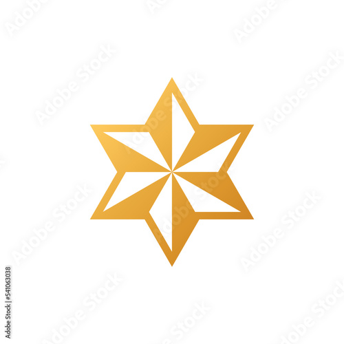 Decorative Star Icon Vector Logo Template