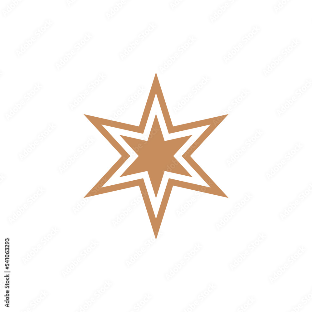 Decorative Star Icon Vector Logo Template Decorative Star Icon Vector Logo Template