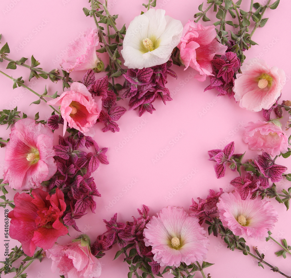 Frame of flowers Salvia horminum and Hollyhock on pink background. Garden flowers Pink Annual Sage and Alcea rosea. Frame of flowers Salvia horminum and Hollyhock on pink background. Garden flowers Pink Annual Sage and Alcea rosea.