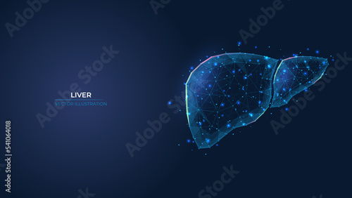 Futuristic abstract symbol of the human liver. Concept for the treatment of cirrhosis, a hepatitis disease. Low poly geometric 3d wallpaper background vector illustration.