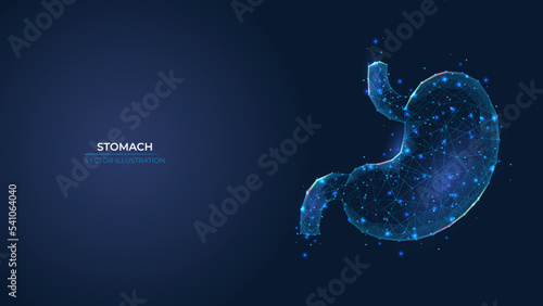 Futuristic abstract symbol of the human stomach. Gastritis ulcer and heartburn treatment concept. Low poly geometric 3d wallpaper background vector illustration. photo
