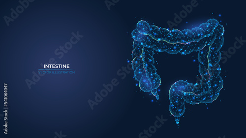 Futuristic abstract symbol of the human intestine. Concept of gastrointestinal pain and cancer treatment. Low poly geometric 3d wallpaper background vector illustration.
