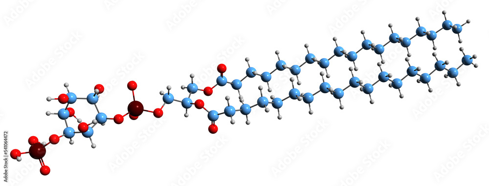 3D image of Phosphatidylinositol phosphate skeletal formula - molecular chemical structure of PIP isolated on white background
3D image of Phosphatidylinositol phosphate skeletal formula - molecular chemical structure of PIP isolated on white background