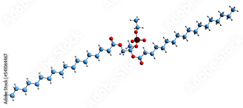  3D image of Phosphatidylethanol skeletal formula - molecular chemical structure of phospholipid isolated on white background photo