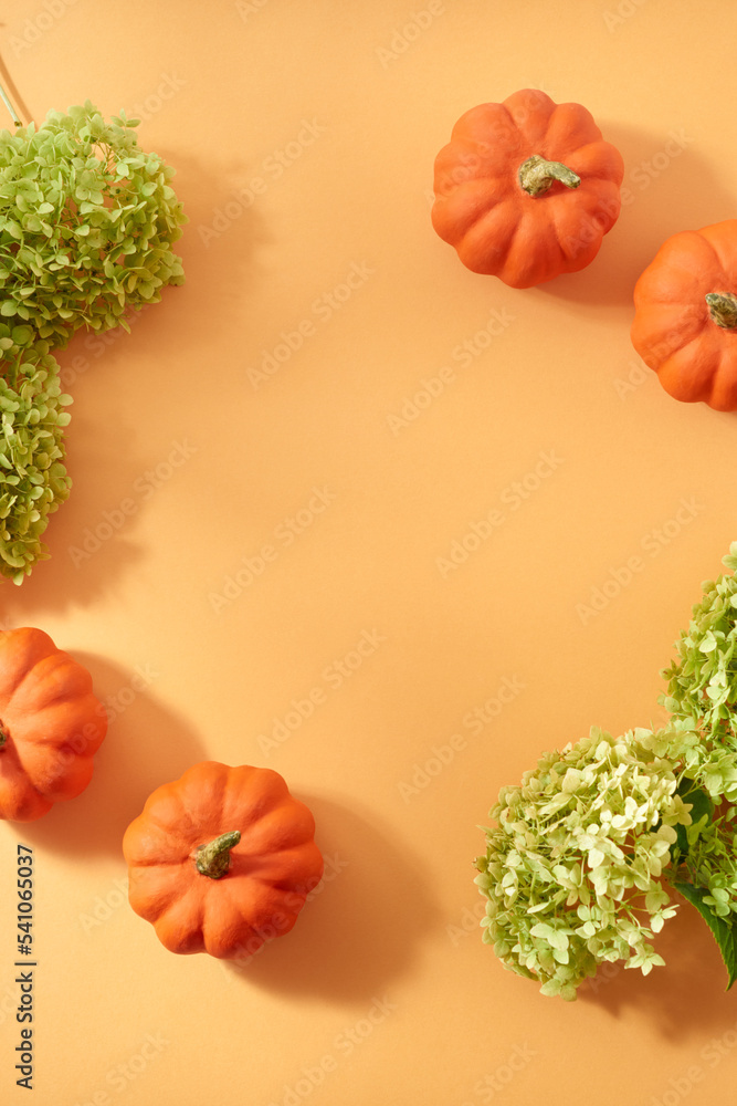 Fototapeta premium Flat lay autumn frame with green flowers and pumpkins on an orange background