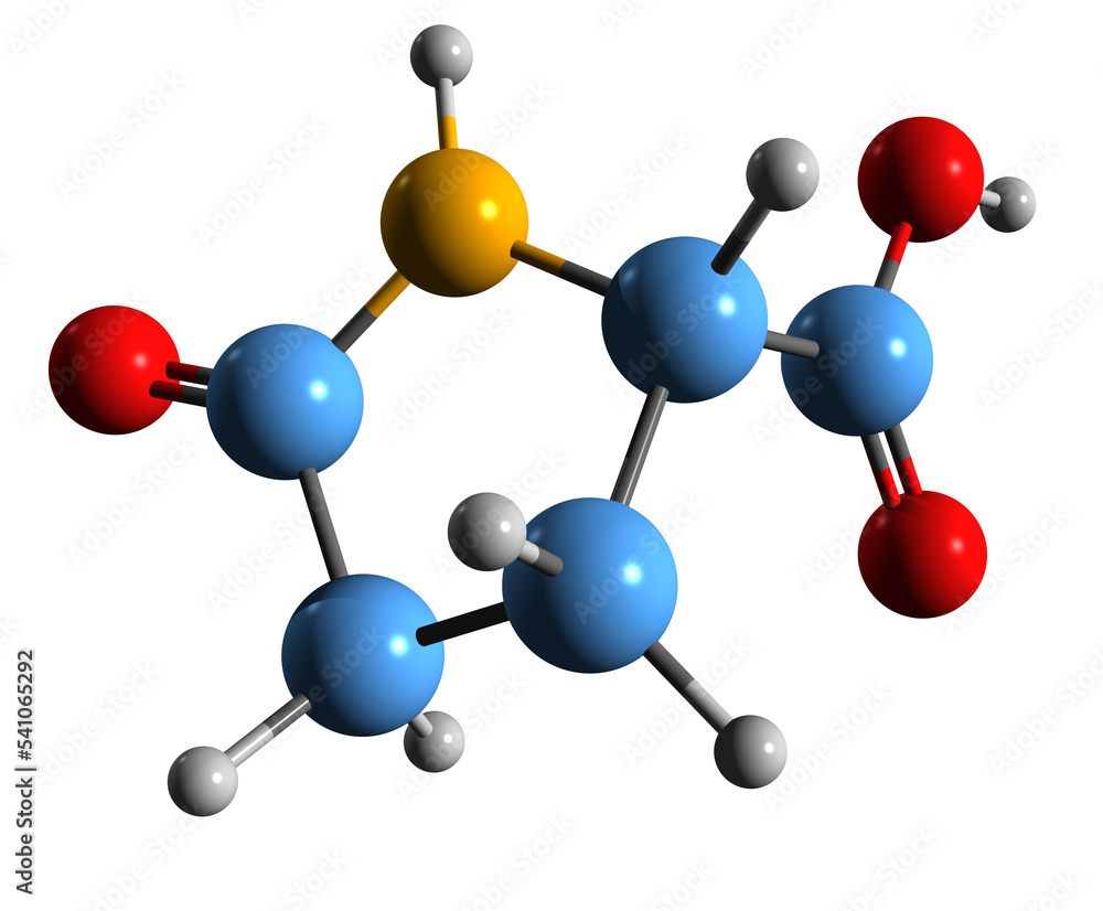3D image of Pyroglutamic acid skeletal formula - molecular chemical structure of 5-Oxopyrrolidine-2-carboxylic acid isolated on white background 3D image of Pyroglutamic acid skeletal formula - molecular chemical structure of 5-Oxopyrrolidine-2-carboxylic acid isolated on white background