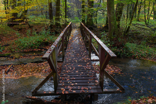 Zielony mosteczek ugina się. Mostek na szlaku turystycznym w jesiennym i kolorowym lesie.