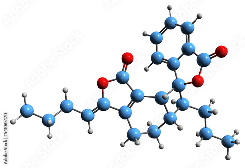 3D image of Riligustilide skeletal formula - molecular chemical structure of nonsteroidal phytoprogestogen isolated on white background photo