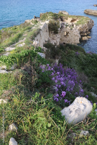 Pearl of Salento, Apulia Italy photo