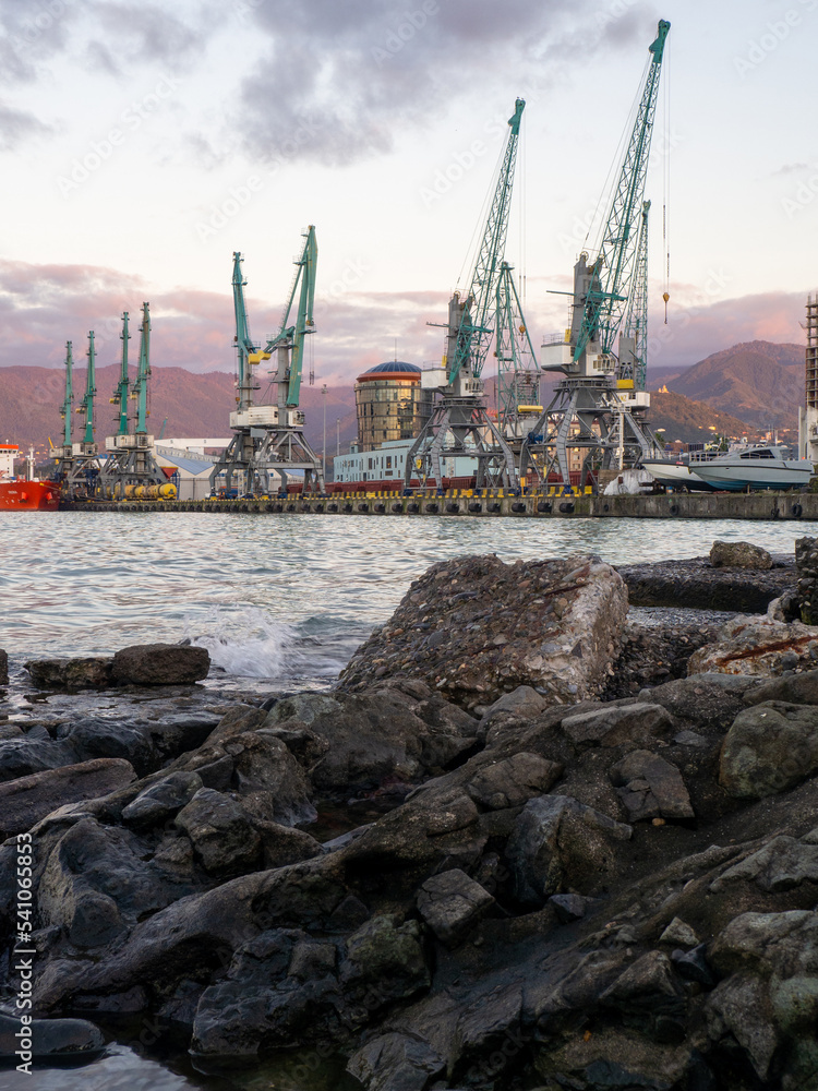 Fototapeta premium Port area. Cranes for ships. The atmosphere of a cargo seaport. Marine urban landscape.