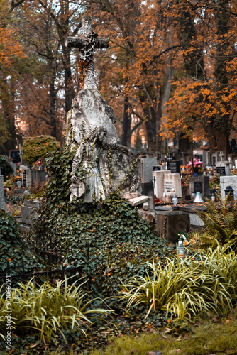 Historic Rakowicki Cemetery in Krakow.