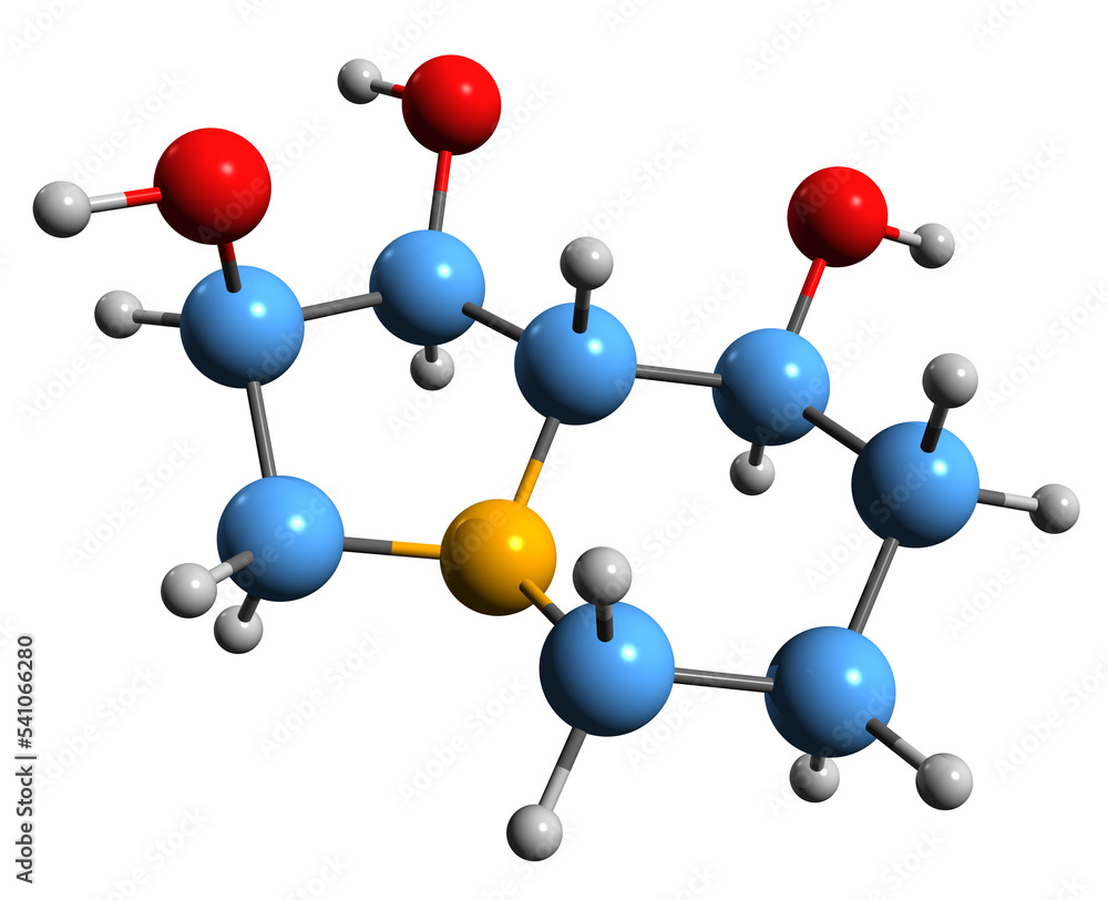 3D image of Swainsonine skeletal formula - molecular chemical structure of indolizidine alkaloid isolated on white background 3D image of Swainsonine skeletal formula - molecular chemical structure of indolizidine alkaloid isolated on white background
