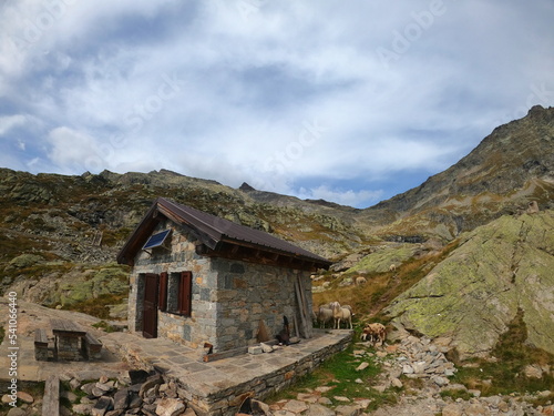 Campliccioli and Cingino mountain lake hiking trail located in Antrona valley  Piedmon  Italy